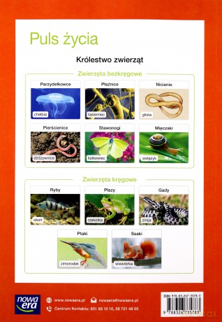 Biologia Puls życia podręcznik dla klasy 6 szkoły podstawowej - Joanna Stawarz [KSIĄŻKA]