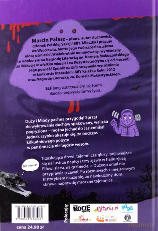 Elf i dom strachów - Marcin Pałasz [KSIĄŻKA]