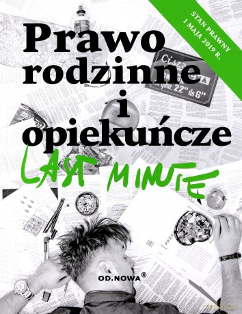 Last minute prawo rodzinne i opiekuńcze 2019 - Anna Gólska [KSIĄŻKA]