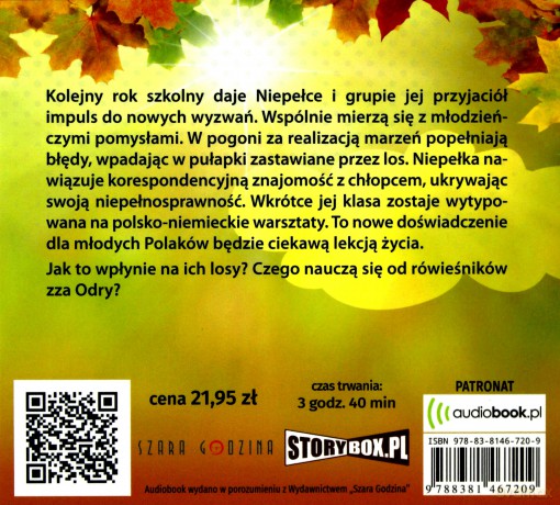 Moc marzeń. Niepełka (Tom 3) - Dorota Schrammek [AUDIOBOOK]