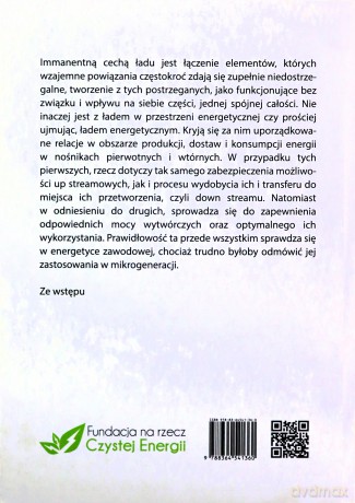 Ład energetyczny. Idee i rzeczywistość [KSIĄŻKA]