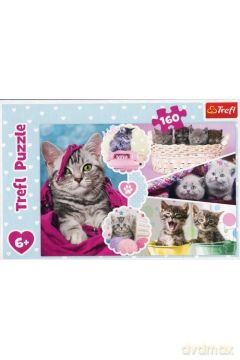 TREFL 160 el. Urocze kotki [PUZZLE]