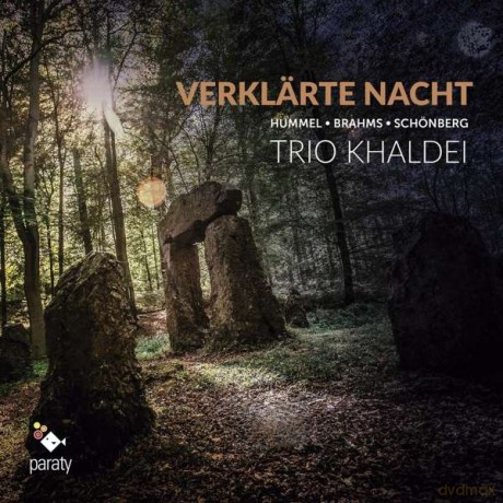 Hummel Brahms Schonberg: Verklarte Nacht (digipack) [CD]