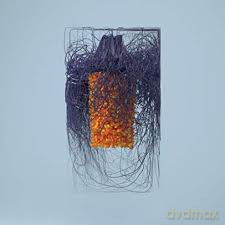 Plaid: Polymer [CD]