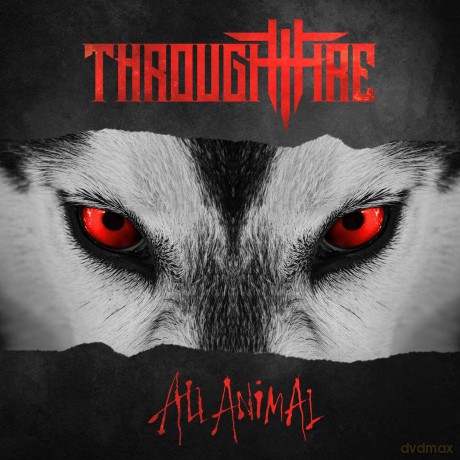 Through Fire: All Animal [CD]