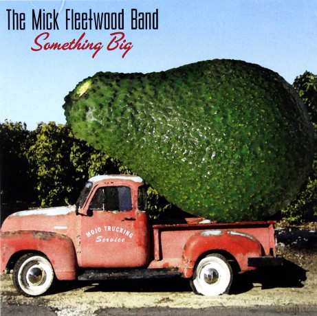 The Mick Fleetwood Band: Something Big [CD]