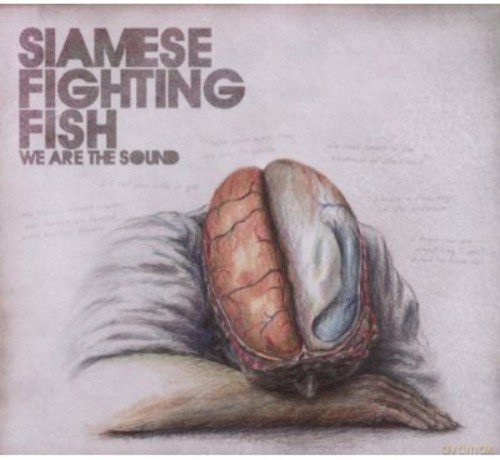 Siamese Fighting Fish: We Are The Sound [CD]