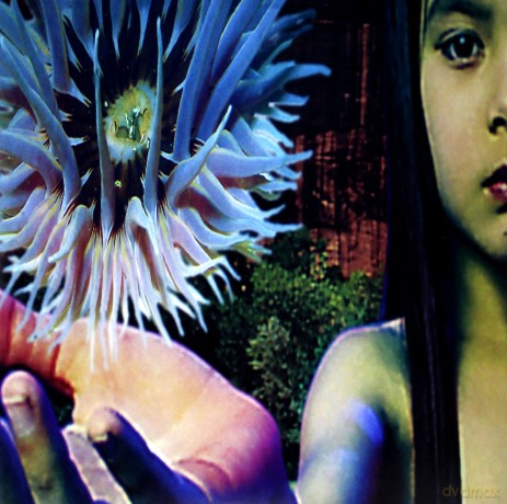 Future Sound Of London: Lifeforms [2xWinyl]