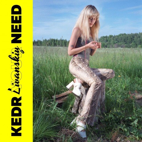 Kedr Livanskiy: Your Need [Winyl]