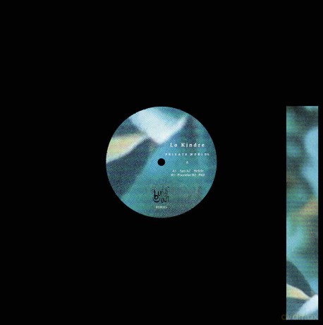 Lo Kindre: Private Worlds [Winyl]