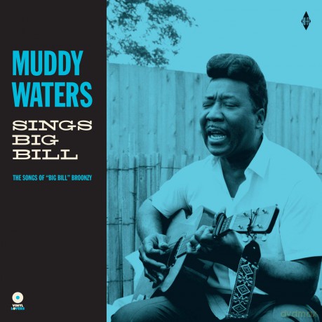 Muddy Waters: Sings 'Big Bill' [Winyl]
