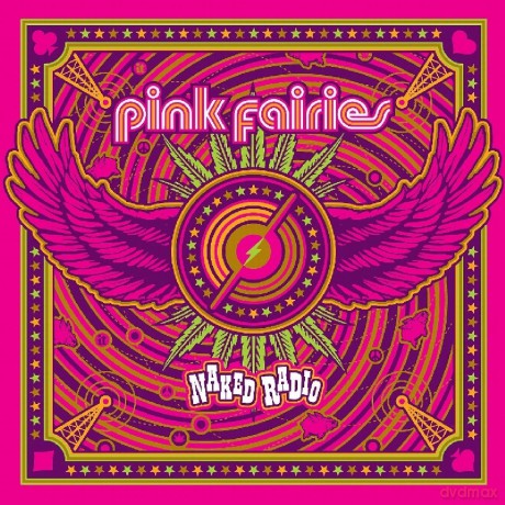 Pink Fairies: Naked Radio [Winyl]