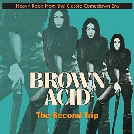 Brown Acid The Second Trip [Winyl]