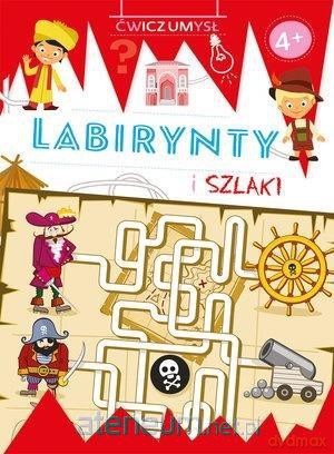Ćwicz umysł. Labirynty i szlaki [KSIĄŻKA]