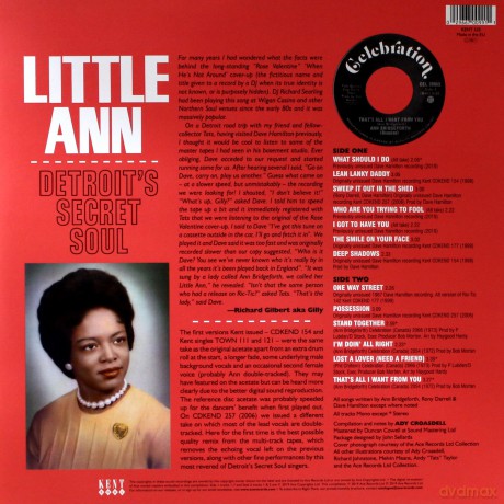 Little Ann: Detroit's Secret Soul [Winyl]