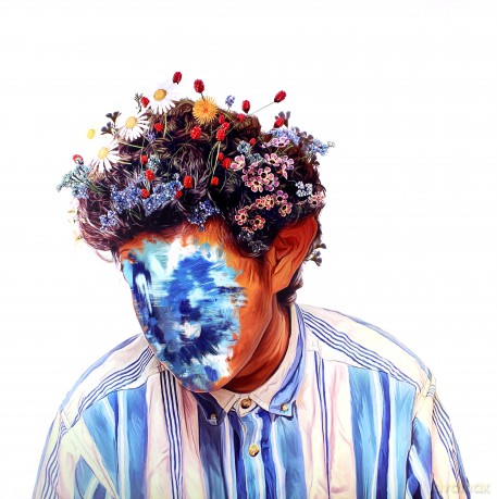 Hobo Johnson: The Fall Of Hobo Johnson [Winyl]