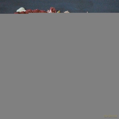Dude York: Falling [CD]