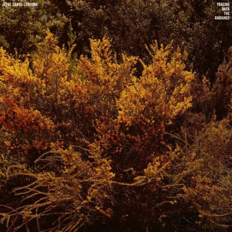 Jefre Cantu-Ledesma: Tracing Back The Radiance [Winyl]