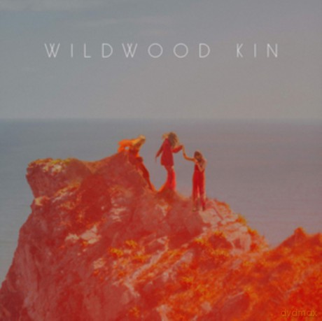 Wildwood Kin: Wildwood Kin [Winyl]