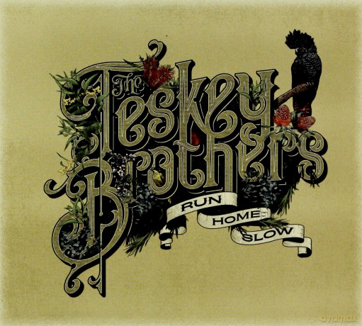 Teskey Brothers: Run Home Slow [CD]