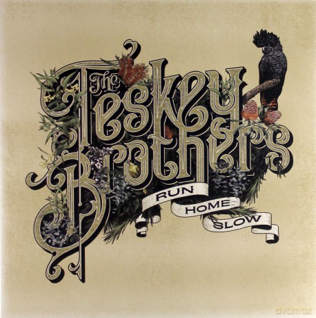 Teskey Brothers: Run Home Slow [Winyl]