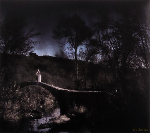 Wear Your Wounds: Rust On The Gates Of Heaven [CD]