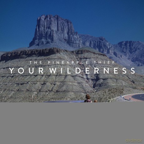 Pineapple Thief: Your Wilderness [CD]
