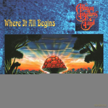 Allman Brothers Band: Where It All Begins [Winyl]