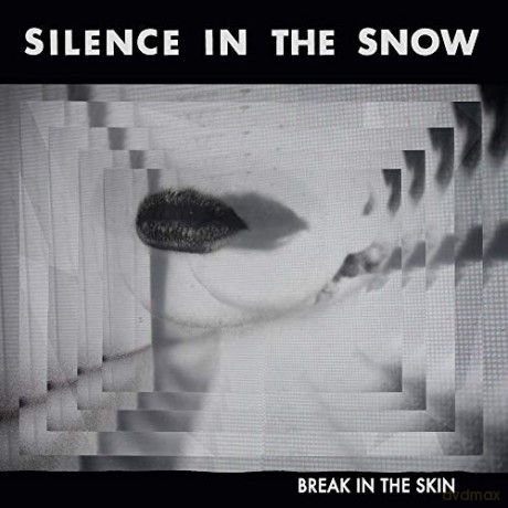 Silence In The Snow: Break In The Skin [CD]