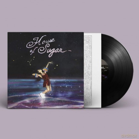 Alex G: House Of Sugar [Winyl]