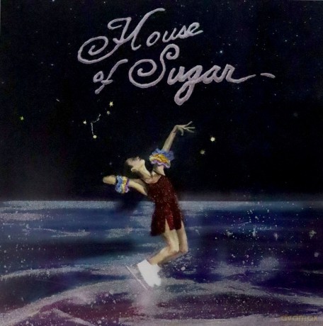 Alex G: House Of Sugar [Winyl]