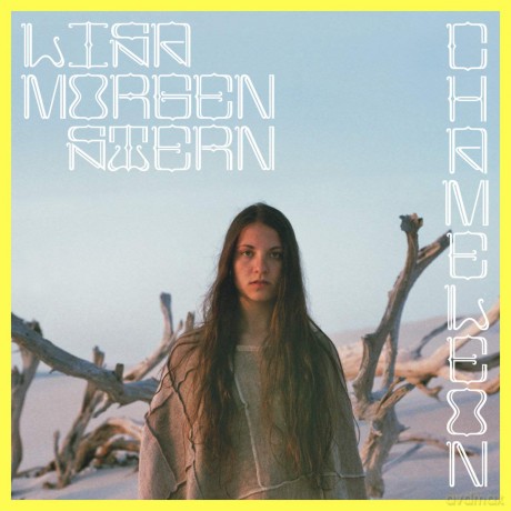Lisa Morgenstern: Chameleon [CD]