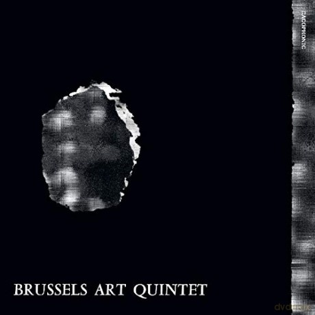 Brussels Art Quintet: Vasy-Y Voir [Winyl]
