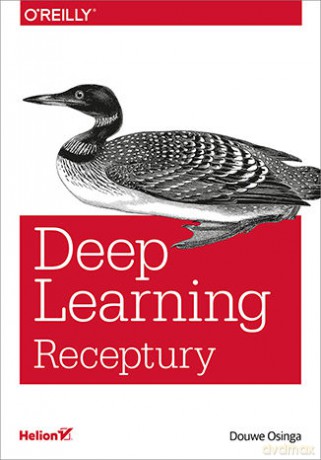 Deep learning. Receptury - Douwe Osinga [KSIĄŻKA]