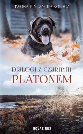 Dialogi z czarnym Platonem - Iwona Bińczycka-Kołacz [KSIĄŻKA]