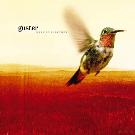 Guster: Keep It Together [Winyl]