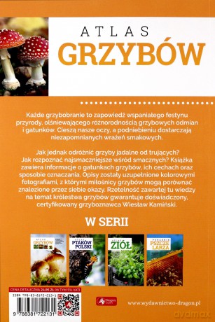 Atlas grzybów - Wiesław Kamiński [KSIĄŻKA]