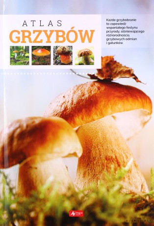 Atlas grzybów - Wiesław Kamiński [KSIĄŻKA]