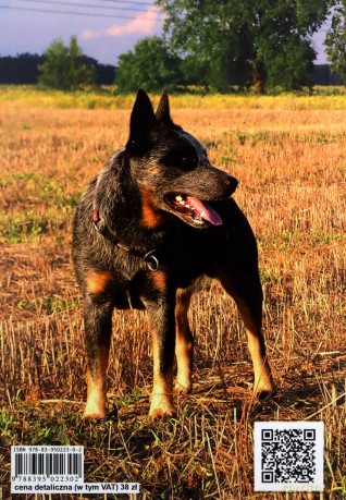 Australian Cattle Dog - Anna M. Pol [KSIĄŻKA]