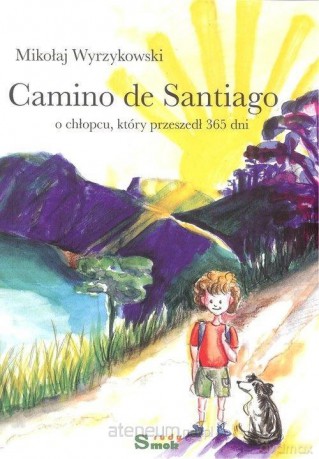 Camino de Santiago. O chłopcu, który przeszedł - Mikołaj Wyrzykowski [KSIĄŻKA]