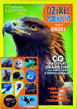 Dzikie zwierzęta (Tom 9) Orzeł [KSIĄŻKA]