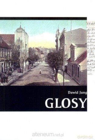Glosy - Dawid Jung [KSIĄŻKA]