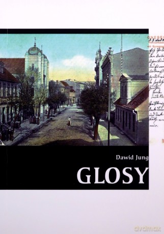 Glosy - Dawid Jung [KSIĄŻKA]