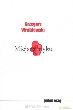 Miejsca styku - Grzegorz Wróblewski [KSIĄŻKA]