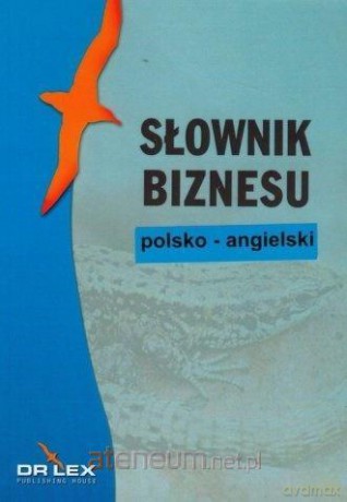 Polsko-angielski słownik biznesu - Piotr Kapusta, Magdalena Chowaniec [KSIĄŻKA]