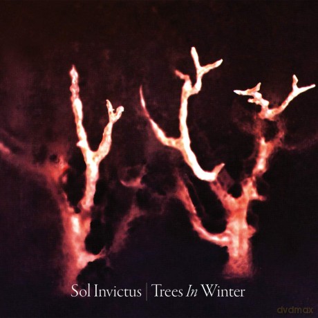 Sol Invictus: Trees In Winter Reissue (digipack) [CD]