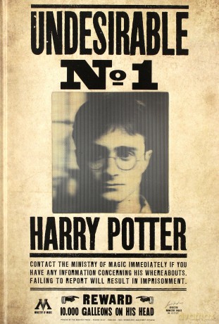 Harry Potter Harry Potter 3D Lenticular Notatnik
