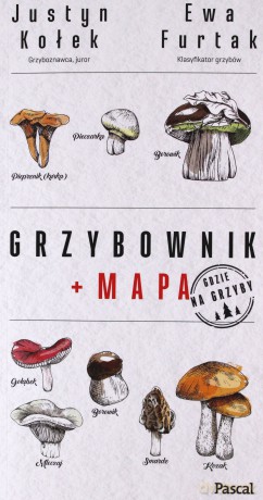 Grzybownik - Justyn Kołek, Ewa Furtak [KSIĄŻKA]
