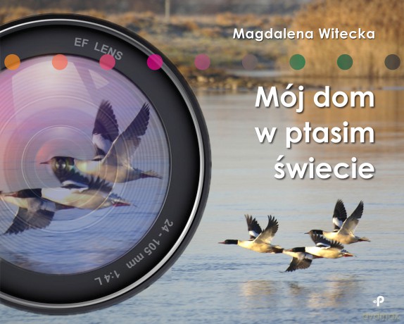 Mój dom w ptasim świecie - Magdalena Witecka [KSIĄŻKA]
