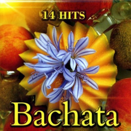 14 Hits Bachata [CD]